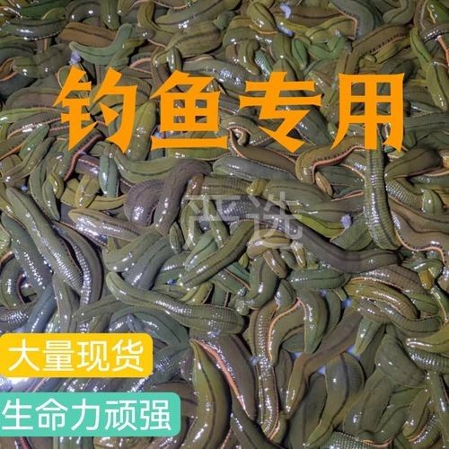 推薦幾款高質量的龍魚專用餌料（龍魚專用餌料推薦） 推薦幾款高質量的龍魚專用餌料（龍魚專用餌料推薦） 龍魚百科 第8張