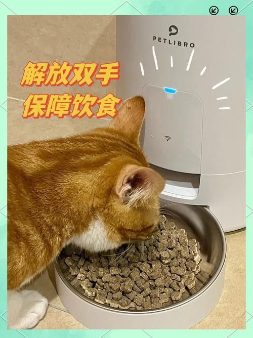 給我推薦一些智能喂食器品牌(小佩寵物智能喂食器品牌推薦及熱門型號分析)