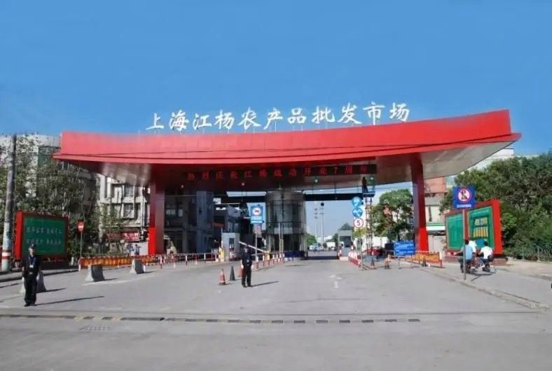 上海龍魚市場的營業時間是什么時候（上海龍魚市場怎么樣）