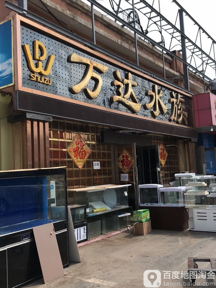大連哪個水族館龍魚好？祥龍魚場龍魚（大連祥龍魚場養殖技術和地理位置與環境：祥龍魚場）