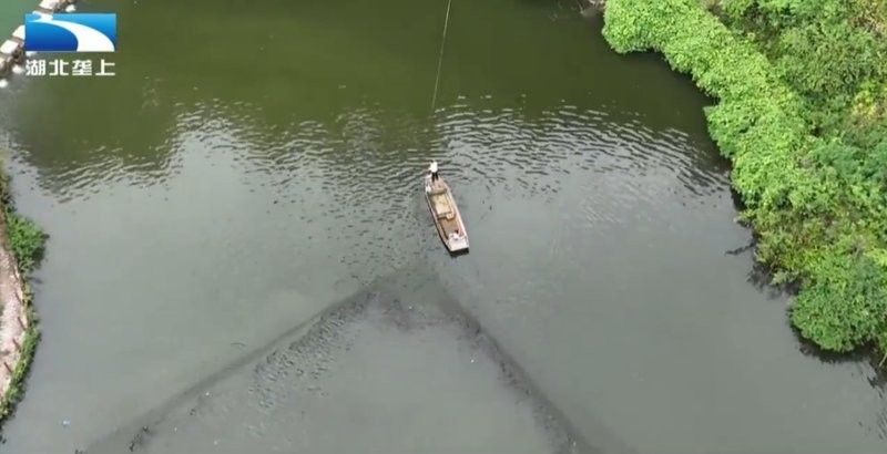 如何聯系恩施的龍魚養殖基地（如何聯系恩施龍魚養殖基地？） 如何聯系恩施的龍魚養殖基地（如何聯系恩施龍魚養殖基地？） 龍魚百科 第3張