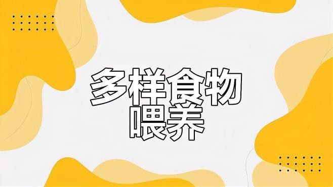 如何布置龍魚和虎頭鯊的混養(yǎng)缸？（養(yǎng)龍魚和虎頭鯊混養(yǎng)需要注意哪些問題）