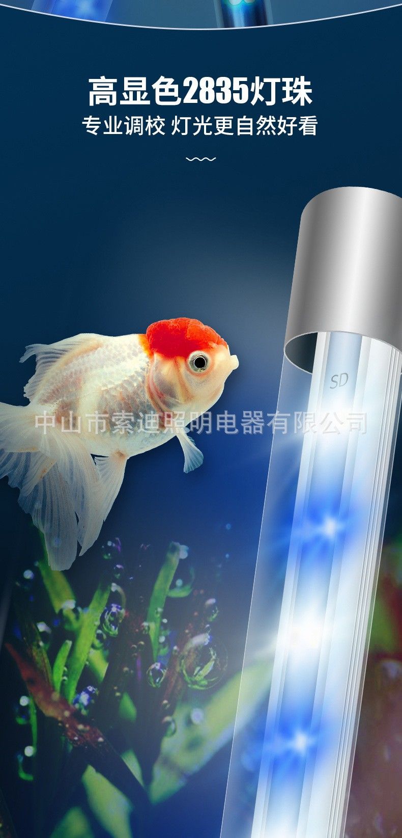龍魚專用潛水燈哪種功率最合適？（魚專用潛水燈的功率選擇是一個(gè)重要的考慮因素以確保提供足夠的光照） 龍魚專用潛水燈哪種功率最合適？（魚專用潛水燈的功率選擇是一個(gè)重要的考慮因素以確保提供足夠的光照） 龍魚百科 第4張