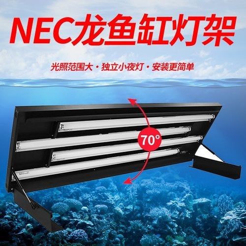 龍魚缸燈有哪些知名品牌（知名的龍魚缸燈品牌） 龍魚缸燈有哪些知名品牌（知名的龍魚缸燈品牌） 龍魚百科 第6張