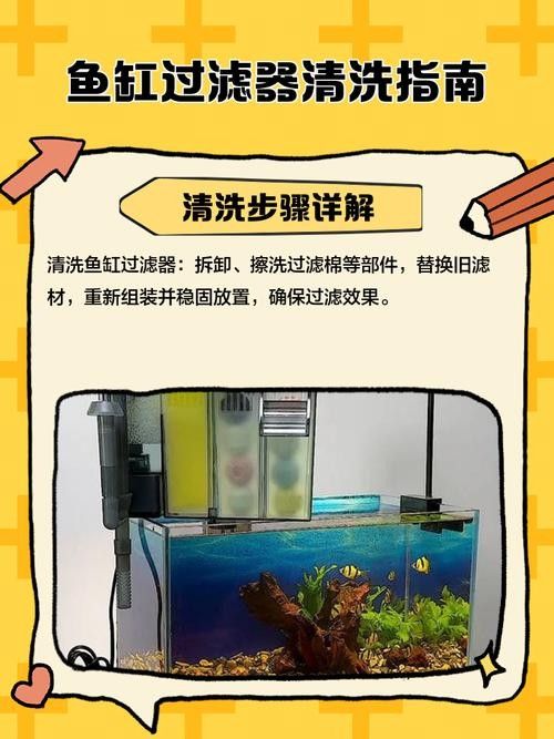 龍魚缸過濾器清洗時需要注意什么（魚缸過濾器如何清洗？）