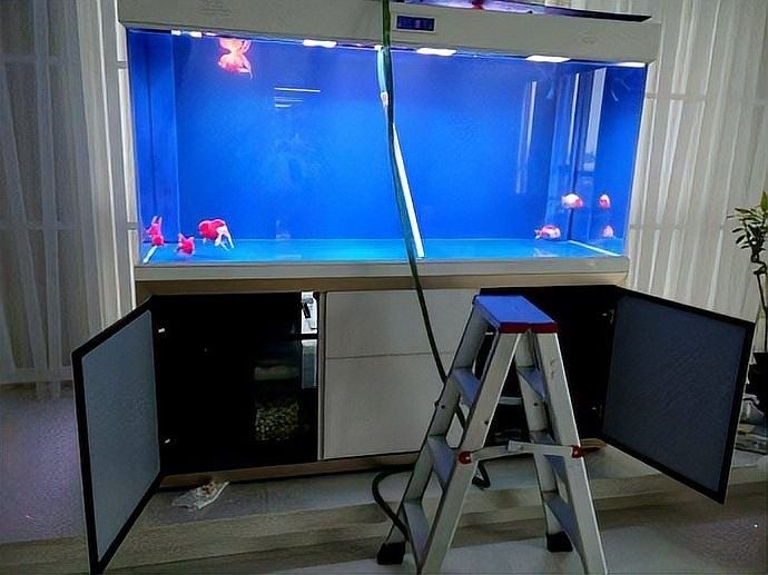 龍魚缸過濾器清洗時需要注意什么（魚缸過濾器如何清洗？）