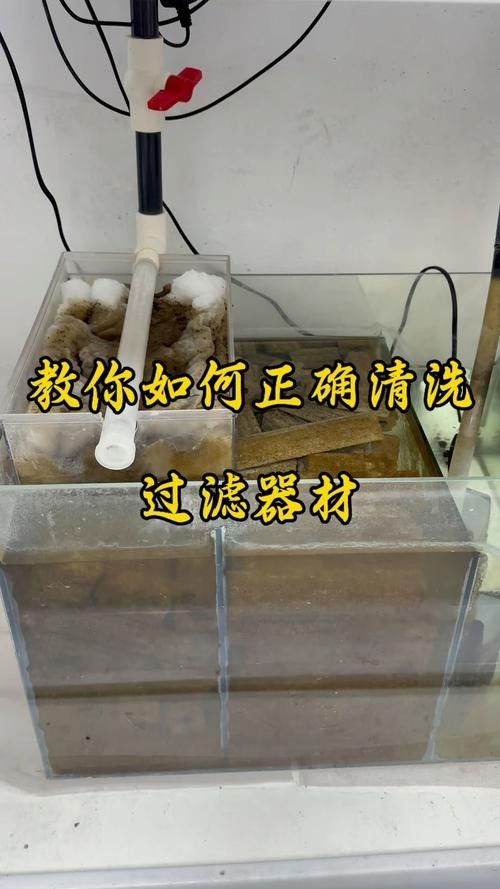 龍魚缸過濾器清洗時需要注意什么（魚缸過濾器如何清洗？）