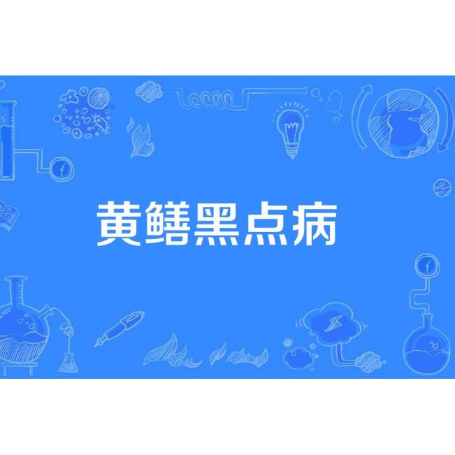 金龍魚身上黑點可能是哪些寄生蟲感染（金龍魚身上出現黑點是怎么回事） 金龍魚身上黑點可能是哪些寄生蟲感染（金龍魚身上出現黑點是怎么回事） 龍魚百科 第6張