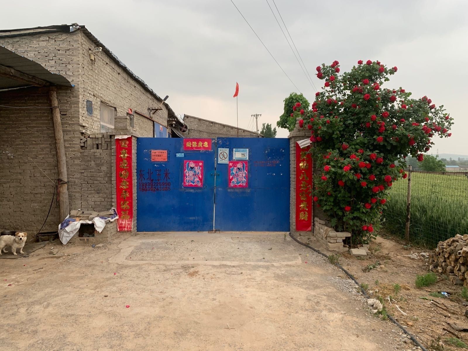 淇縣龍魚（河南鶴壁市淇縣龍魚養(yǎng)殖業(yè)百度地圖-景點展開）