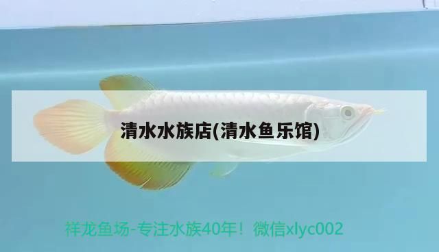 <strong><mark>清水</mark></strong>水族店(<strong><mark>清水</mark></strong>魚樂館)（水族館水<strong><mark>清水</mark></strong>族店）