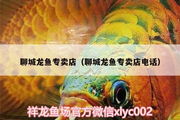 魚缸用增氧泵價格是多少:魚缸增氧機-xtrac增氧機-xtrac增氧機 聊城龍魚專賣店(聊城龍魚專賣店電話)(聊城龍魚專賣店怎么樣) 觀賞魚百科 聊城龍魚專賣店(聊城龍魚專賣店電話)(聊城龍魚專賣店怎么樣) 聊城龍魚專賣店(聊城龍魚專賣店電話)(聊城龍魚專賣店怎么樣) 觀賞魚百科