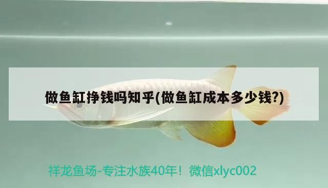 做魚缸掙錢嗎知乎(做魚缸成本多少錢?)（做魚缸掙錢嗎）