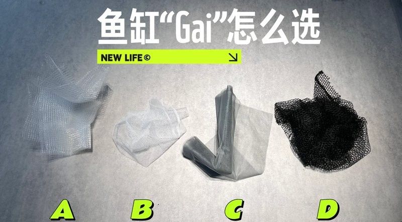 雷龍魚缸蓋材質哪種最好？（探討雷龍魚缸蓋材質的優劣時需要了解不同材質的特性及其對魚缸環境的影響）