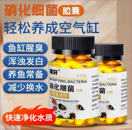 有哪些品牌的凈水劑比較可靠？（凈水劑品牌排行榜京東江蘇凈水劑品牌排行榜京東江蘇凈水劑品牌排行榜）
