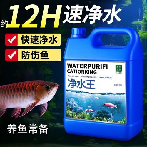 有哪些品牌的凈水劑比較可靠？（凈水劑品牌排行榜京東江蘇凈水劑品牌排行榜京東江蘇凈水劑品牌排行榜）