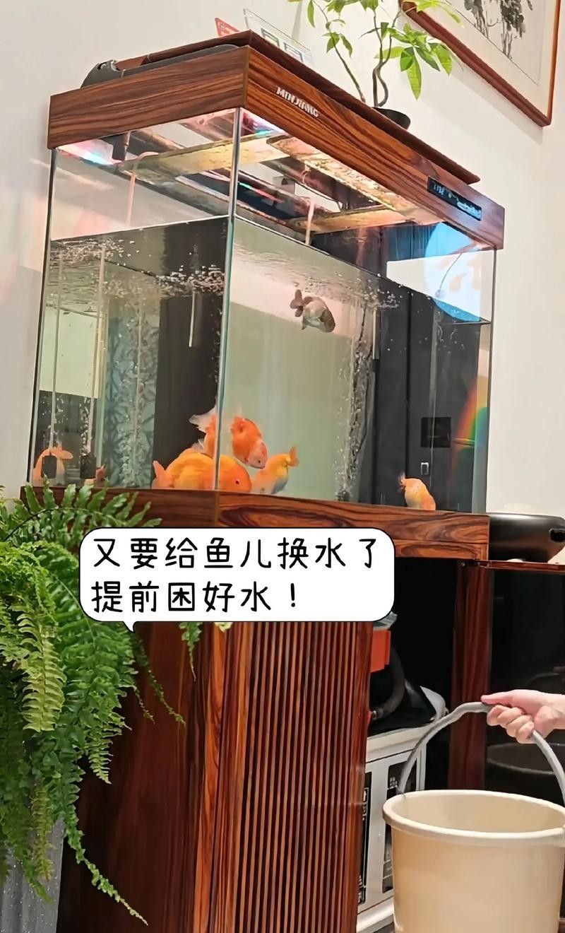 有哪些品牌的凈水劑比較可靠？（凈水劑品牌排行榜京東江蘇凈水劑品牌排行榜京東江蘇凈水劑品牌排行榜）