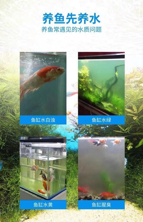 有哪些品牌的凈水劑比較可靠？（凈水劑品牌排行榜京東江蘇凈水劑品牌排行榜京東江蘇凈水劑品牌排行榜）