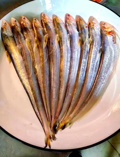 東營吃魚最好的地方（東營吃魚地點推薦） 東營吃魚最好的地方（東營吃魚地點推薦） 觀賞魚百科 第1張