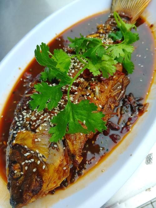 東營吃魚最好的地方（東營吃魚地點推薦） 東營吃魚最好的地方（東營吃魚地點推薦） 觀賞魚百科 第5張