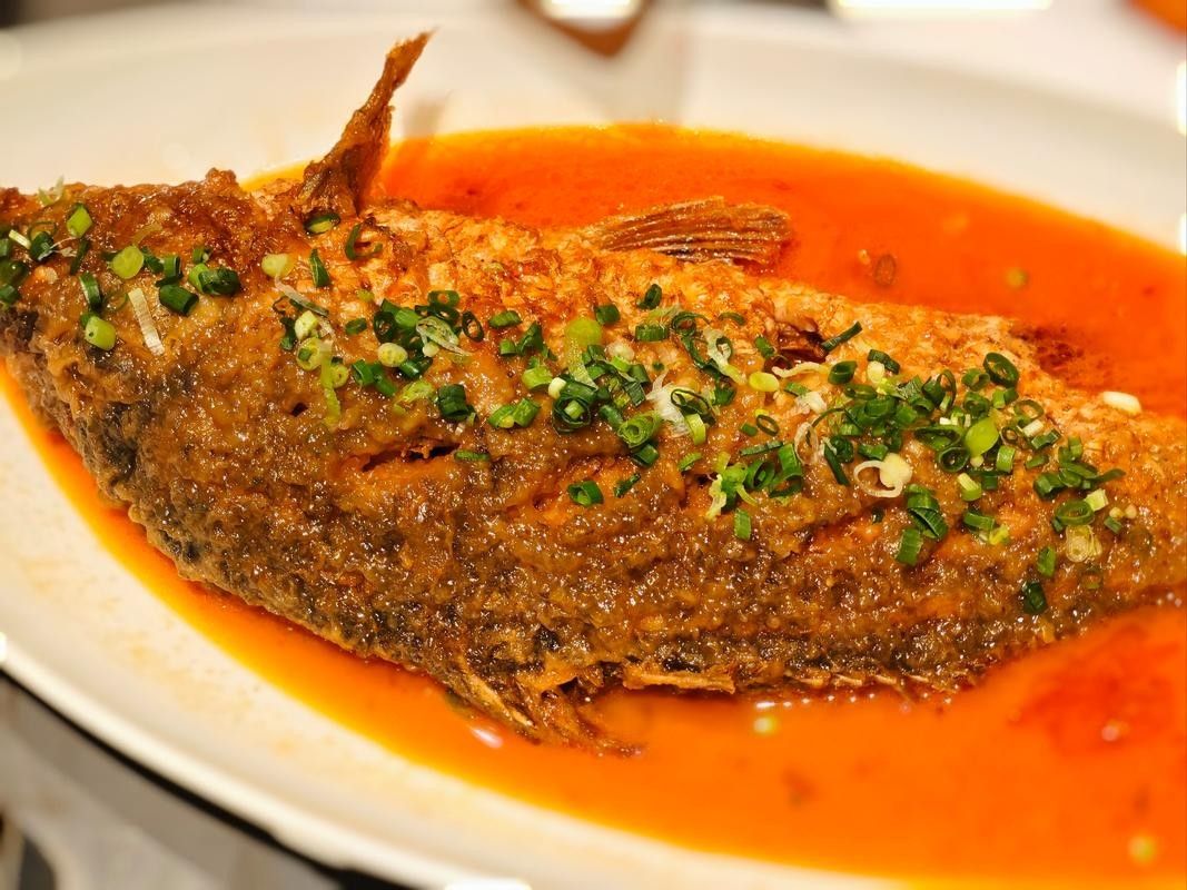 東營吃魚最好的地方（東營吃魚地點推薦） 東營吃魚最好的地方（東營吃魚地點推薦） 觀賞魚百科 第2張
