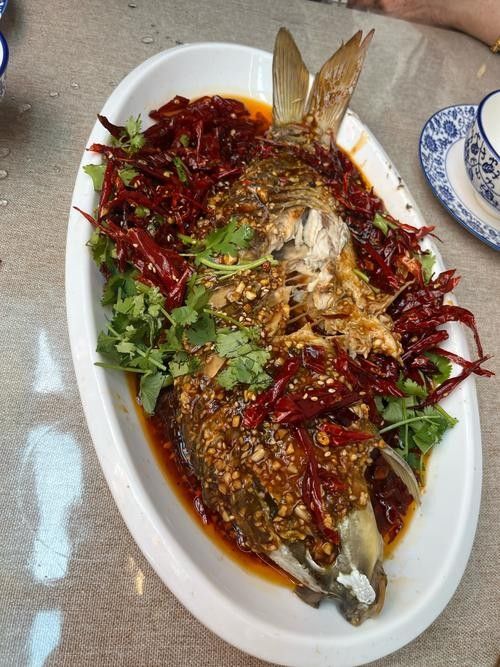 東營吃魚最好的地方（東營吃魚地點推薦） 東營吃魚最好的地方（東營吃魚地點推薦） 觀賞魚百科 第3張