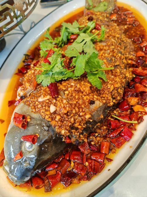 東營吃魚最好的地方（東營吃魚地點推薦） 東營吃魚最好的地方（東營吃魚地點推薦） 觀賞魚百科 第4張