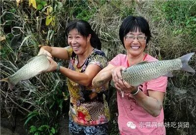 東營吃魚最好的地方（東營吃魚地點推薦） 東營吃魚最好的地方（東營吃魚地點推薦） 觀賞魚百科 第11張