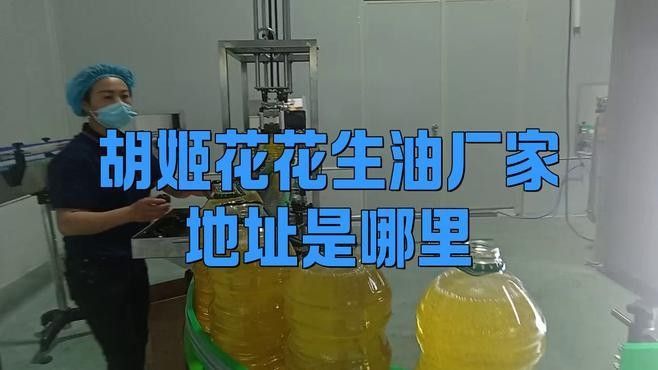 金龍魚(yú)胡姬花工廠（“金龍魚(yú)”和“胡姬花”工廠地址在哪里oo幻嶼攻略）
