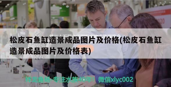 魚缸用增氧泵價格是多少:魚缸增氧機-xtrac增氧機-xtrac增氧機 松皮石魚缸造景成品圖片及價格(松皮石魚缸造景成品圖片及價格表)(松皮石魚缸造景成品價格) 觀賞魚百科 松皮石魚缸造景成品圖片及價格(松皮石魚缸造景成品圖片及價格表)(松皮石魚缸造景成品價格) 松皮石魚缸造景成品圖片及價格(松皮石魚缸造景成品圖片及價格表)(松皮石魚缸造景成品價格) 觀賞魚百科