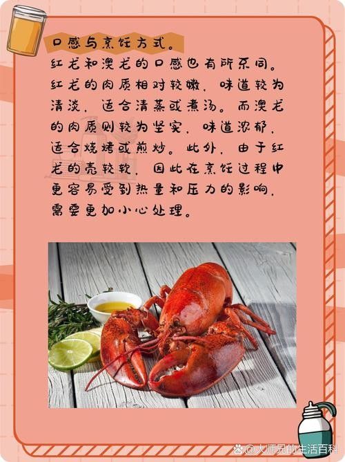 紅龍和澳龍的市場價格差異大嗎