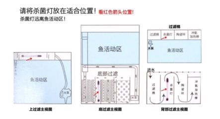 紅龍魚缸背景圖哪個好：如何選擇紅龍魚缸的背景圖 紅龍魚缸背景圖哪個好：如何選擇紅龍魚缸的背景圖 觀賞魚百科
