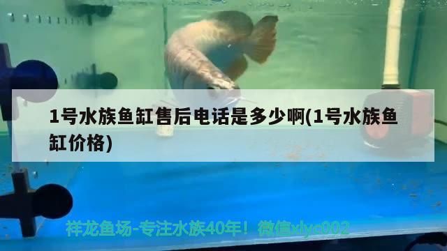 1號水族魚缸售后電話是多少啊(1號水族魚缸價格)（1號水族魚缸售后電話） 1號水族魚缸售后電話是多少啊(1號水族魚缸價格)（1號水族魚缸售后電話） 觀賞魚百科