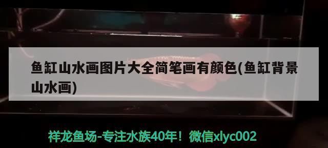 眉山魚缸訂做（眉山魚缸訂做廠家） 眉山魚缸訂做（眉山魚缸訂做廠家） 觀賞魚百科 第2張