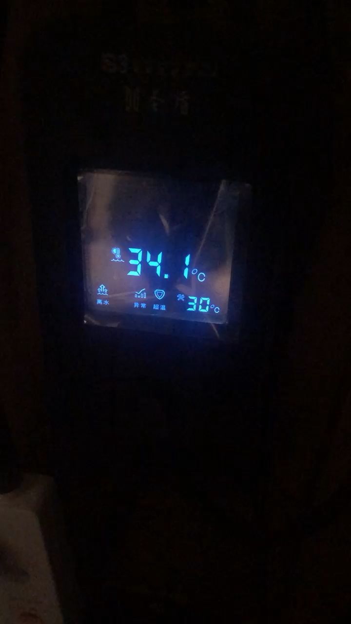 恐龍魚活體（一個(gè)恐龍大約有幾噸）