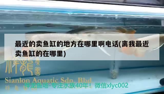 清道夫魚背鰭和腹鰭卡喉后如何應急處理？，清道夫魚刺卡喉后如何應急處理？
