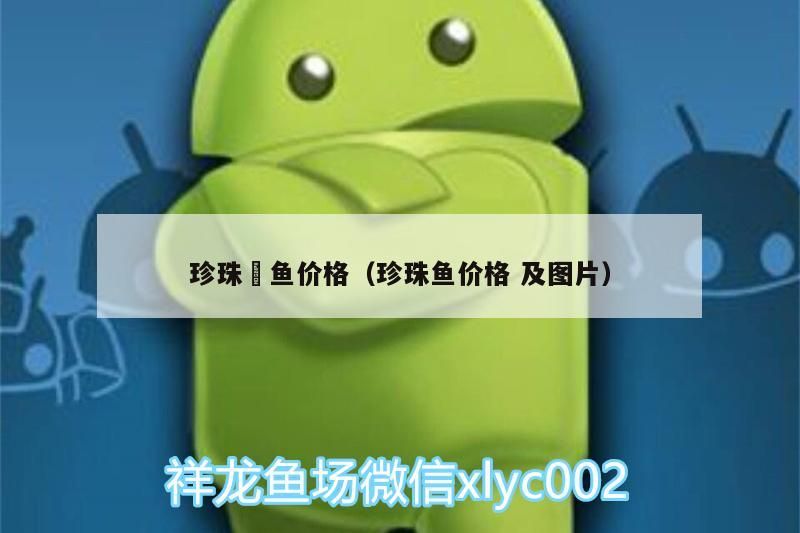 珍珠魟魚價格（珍珠魚價格及圖片） 珍珠魟魚價格（珍珠魚價格及圖片） 觀賞魚百科