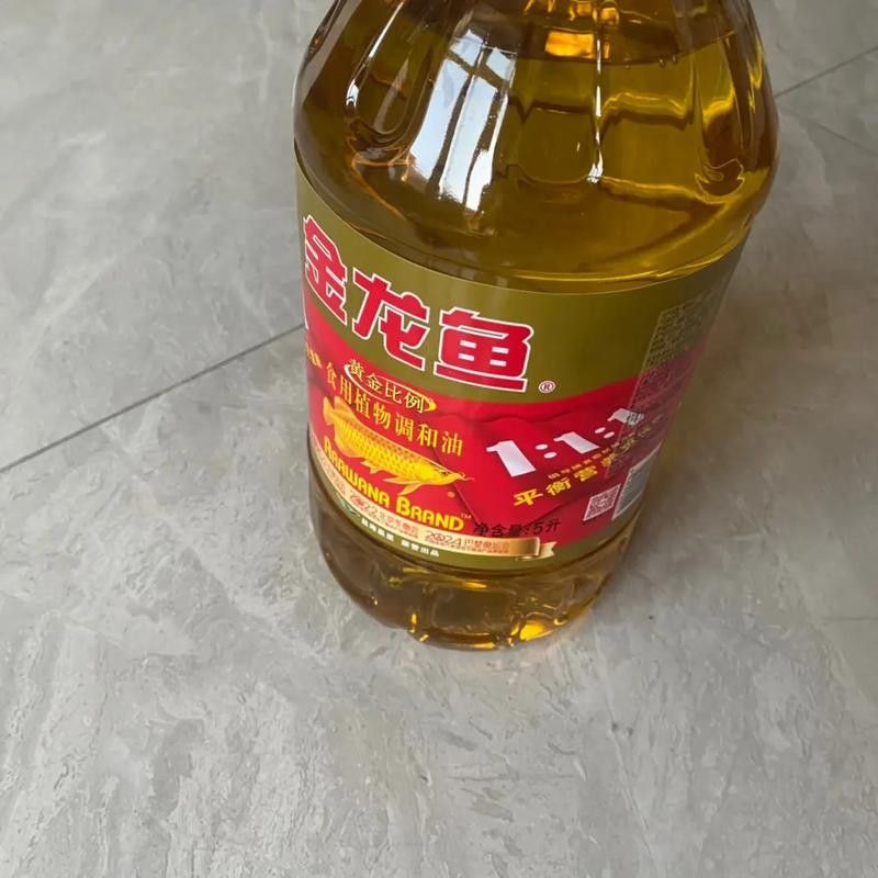 德州金龍魚是否提供住宿？（德州金龍魚是否提供住宿服務(wù)，）