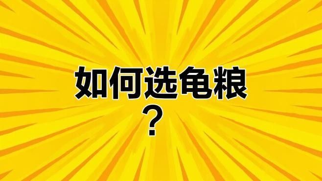 六角恐龍魚吃什么龜糧（六角恐龍魚吃龜糧會消化不良嗎）