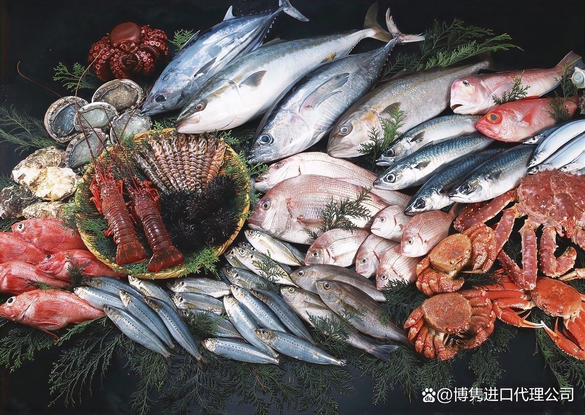 如何合法進口龍魚到中國（合法進口龍魚到中國所需的步驟和注意事項）