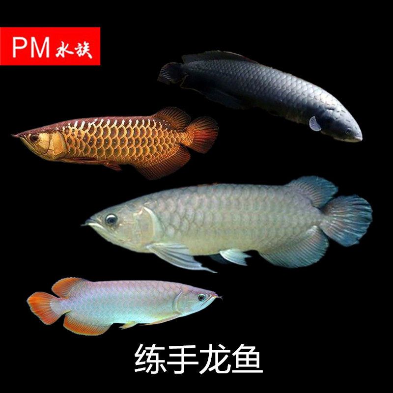 常州哪里有賣魚缸的地方啊電話(常州哪里有賣水缸的)