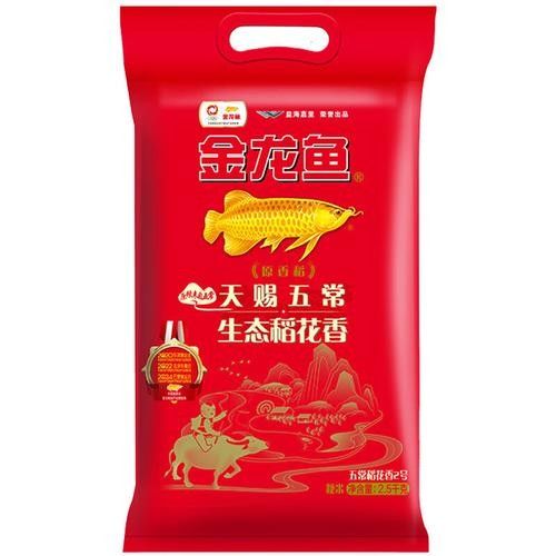 陜縣金龍魚 陜縣金龍魚 觀賞魚百科 第3張