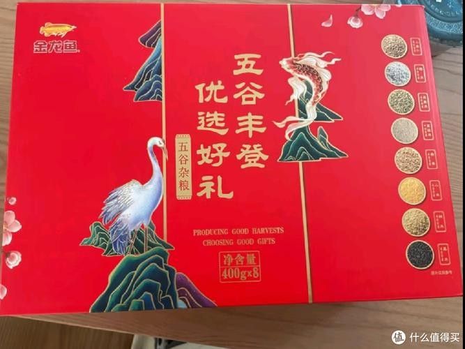 陜縣金龍魚 陜縣金龍魚 觀賞魚百科 第9張