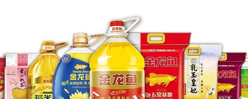 陜縣金龍魚 陜縣金龍魚 觀賞魚百科 第17張