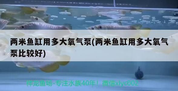 龍魚 兩米魚缸用多大氧氣泵(兩米魚缸用多大氧氣泵比較好) 觀賞魚百科 兩米魚缸用多大氧氣泵(兩米魚缸用多大氧氣泵比較好) 兩米魚缸用多大氧氣泵(兩米魚缸用多大氧氣泵比較好) 觀賞魚百科