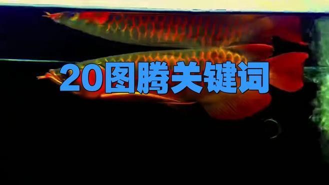 瑪雅文明中紅龍圖騰的具體含義是什么
