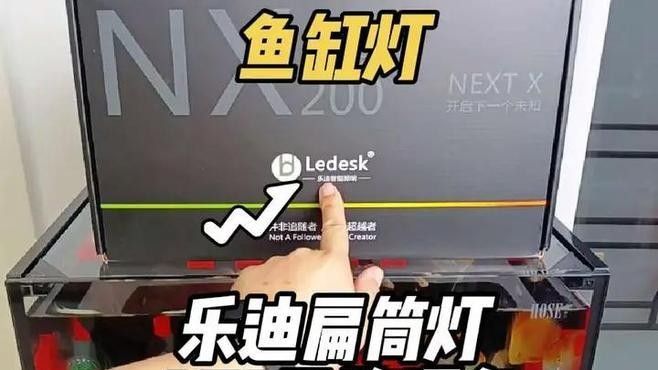推薦幾款適合金龍魚的專用燈（幾款適合金龍魚的專用燈）