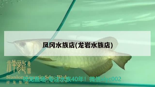 鳳岡水族店(龍巖水族店)