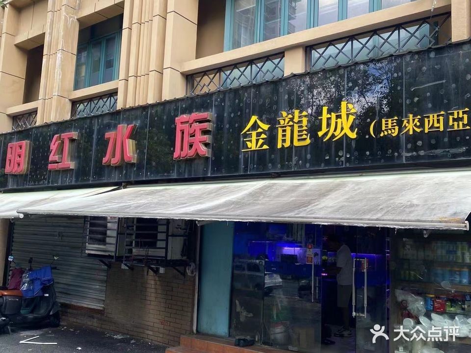 杭州有龍魚醫生店嗎在哪里