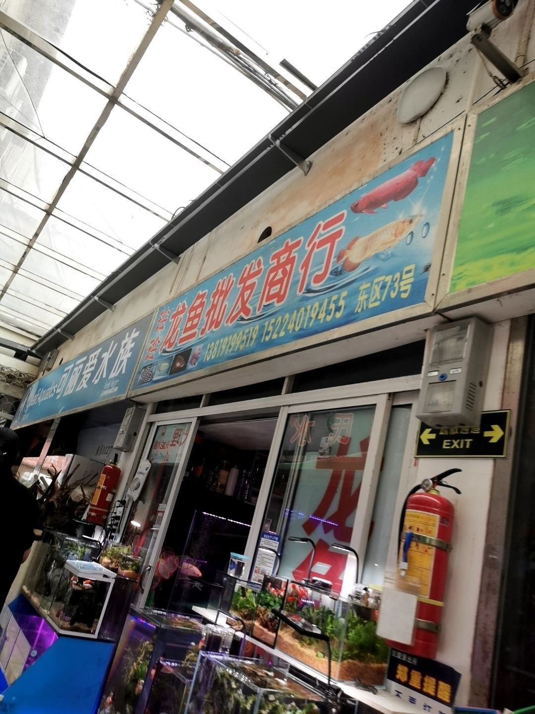 杭州有龍魚醫生店嗎在哪里