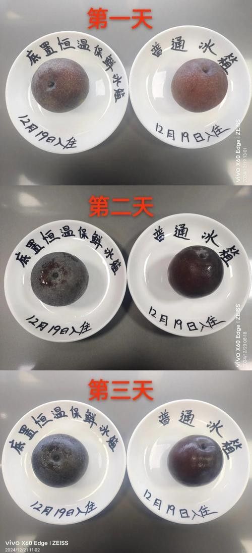 如何通過冷凍測試辨別真假